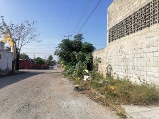 WhatsApp Image 2023 04 13 at 08.02.27