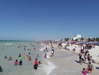 WhatsApp Image 2023 04 13 at 11.18.19