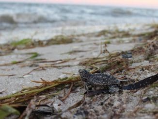 WhatsApp Image 2023 04 13 at 16.20.33