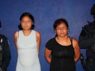 WhatsApp Image 2023 04 14 at 08.27.41