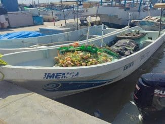 WhatsApp Image 2023 04 14 at 12.12.47