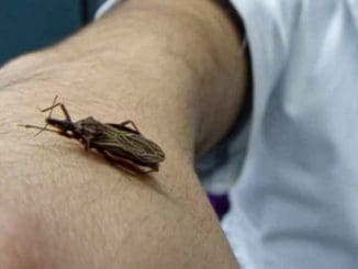 WhatsApp Image 2023 04 17 at 13.41.26