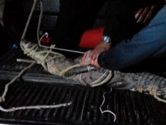 WhatsApp Image 2023 04 18 at 11.43.29