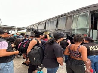 WhatsApp Image 2023 04 24 at 15.33.24