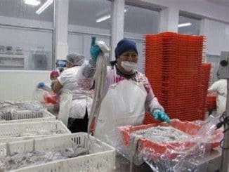 WhatsApp Image 2023 04 26 at 09.16.48