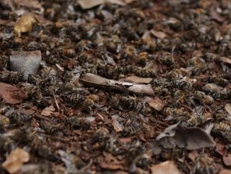 WhatsApp Image 2023 04 26 at 15.36.24