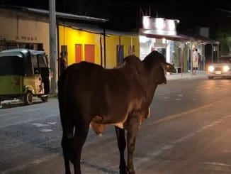 WhatsApp Image 2023 04 27 at 09.05.20