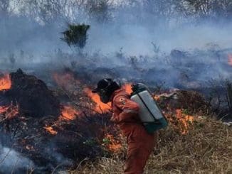 WhatsApp Image 2023 04 27 at 10.53.10