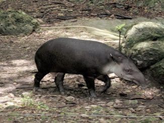 WhatsApp Image 2023 04 27 at 15.14.41