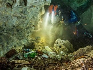 E2dbedd0 6b4d 11eb 8efb 9e51f4e276f5