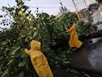 282804ee 8fa0 4f78 9594 49513d9ba539