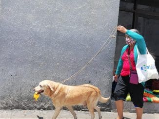 347622442 256867766857893 3635709207226580769 n