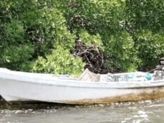 350254699 635516994796575 8528325986636161203 n