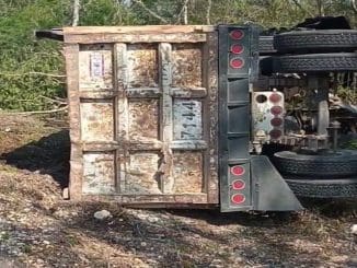 7edc42ca d5ff 44ad 851d 02745a9711a5