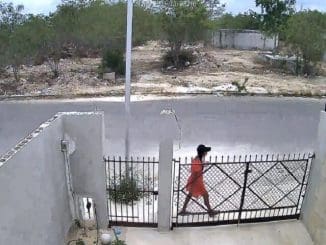 NATALIA CAUCEL scaled