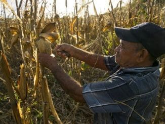 WhatsApp Image 2023 05 08 at 13.40.58