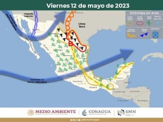 WhatsApp Image 2023 05 12 at 08.33.27