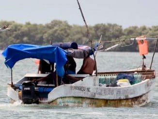 WhatsApp Image 2023 05 15 at 09.17.54