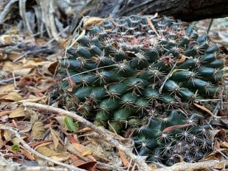 WhatsApp Image 2023 05 16 at 10.07.47