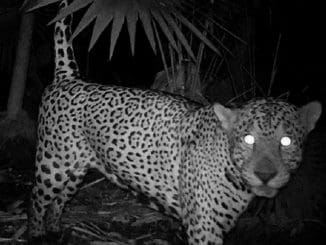 WhatsApp Image 2023 05 20 at 07.39.14