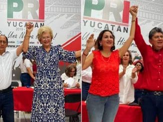 WhatsApp Image 2023 05 20 at 11.59.23