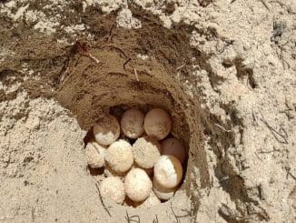 WhatsApp Image 2023 05 23 at 15.30.52