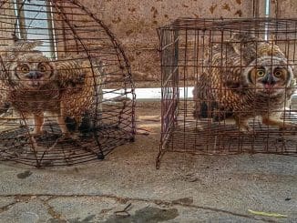 WhatsApp Image 2023 05 24 at 07.45.41