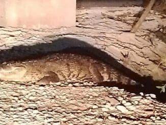 WhatsApp Image 2023 05 26 at 18.40.23