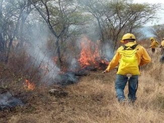 F850x638 111316 188805