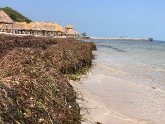 350925587 3597936787095076 6974736856459634095 n