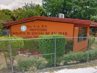 351489053 707466731389715 2041956520329292020 n