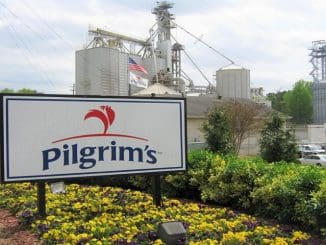 Pilgrims Pride plant scaled
