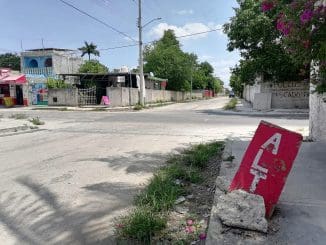 WhatsApp Image 2023 06 12 at 10.38.36