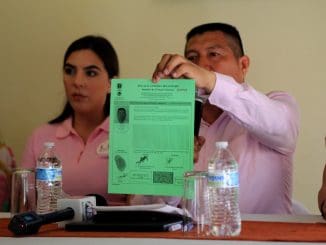 WhatsApp Image 2023 06 12 at 14.11.58