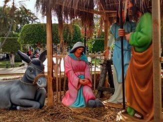 WhatsApp Image 2023 06 13 at 08.48.58