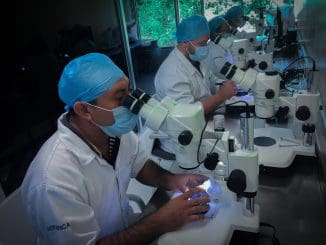 WhatsApp Image 2023 06 13 at 15.54.46