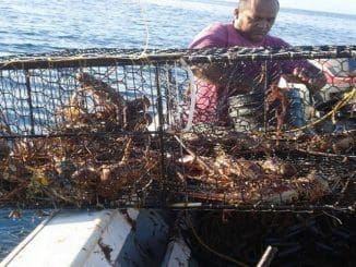 WhatsApp Image 2023 06 14 at 11.38.42