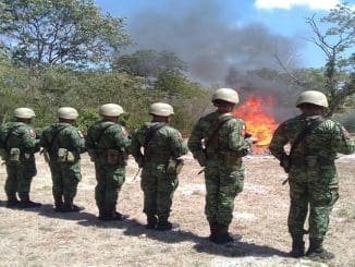 WhatsApp Image 2023 06 15 at 11.32.22