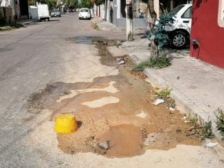 WhatsApp Image 2023 06 20 at 15.48.51 (1)