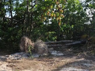 WhatsApp Image 2023 06 20 at 19.09.38