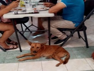 WhatsApp Image 2023 06 21 at 13.07.55