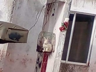 WhatsApp Image 2023 06 21 at 14.23.45