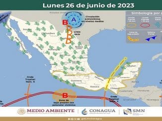 WhatsApp Image 2023 06 26 at 07.21.19