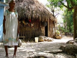 WhatsApp Image 2023 06 28 at 14.59.40