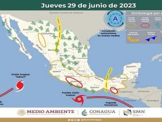 WhatsApp Image 2023 06 29 at 08.42.44