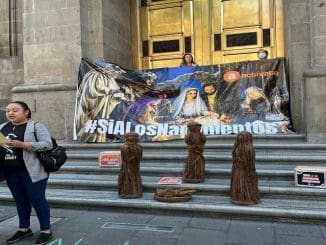 WhatsApp Image 2023 06 29 at 10.23.18