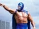Blue demon jr