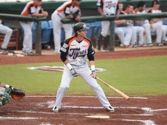 Tigres Q,Roo ( Fotos Fernando Nuez)