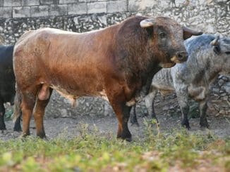 1500 0e6a1d39aeb9b199a2d8369b9d0d5cb3 scaled