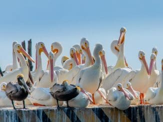 358608632 250955464352399 8020827397380877130 n